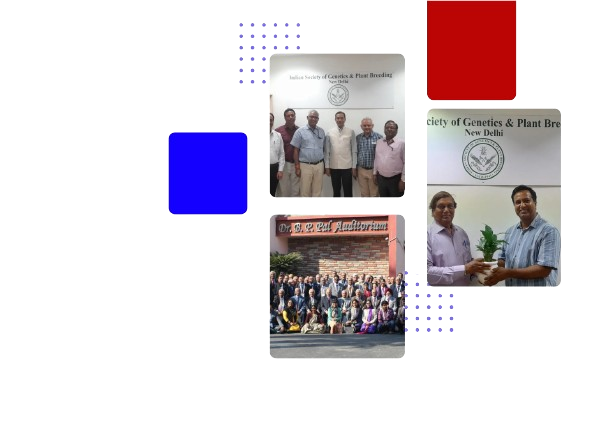 Society Image